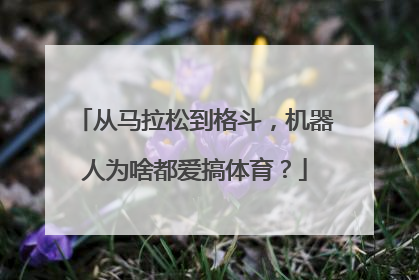 从马拉松到格斗，机器人为啥都爱搞体育？