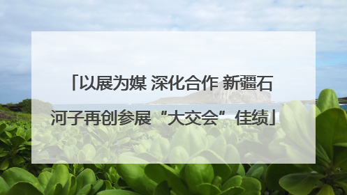 以展为媒 深化合作 新疆石河子再创参展“大交会”佳绩