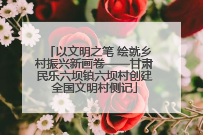 以文明之笔 绘就乡村振兴新画卷——甘肃民乐六坝镇六坝村创建全国文明村侧记
