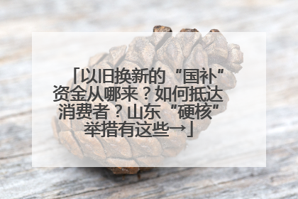 以旧换新的“国补”资金从哪来？如何抵达消费者？山东“硬核”举措有这些→