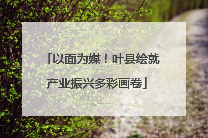 以面为媒！叶县绘就产业振兴多彩画卷