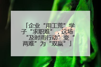 企业“用工荒”学子“求职难”，这场“及时雨行动”变“两难”为“双赢”