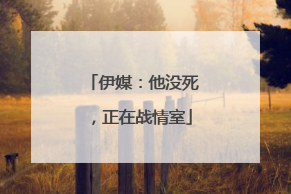 伊媒：他没死，正在战情室