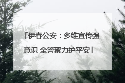 伊春公安：多维宣传强意识 全警聚力护平安