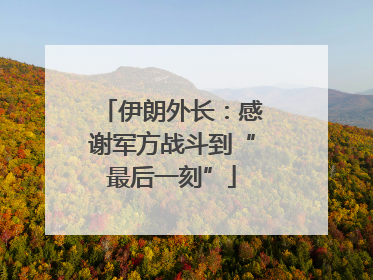 伊朗外长：感谢军方战斗到“最后一刻”
