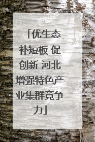 优生态 补短板 促创新 河北增强特色产业集群竞争力