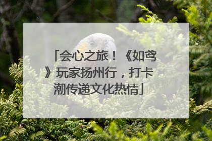 会心之旅！《如鸢》玩家扬州行，打卡潮传递文化热情