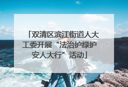 双清区滨江街道人大工委开展“法治护绿护安人大行”活动