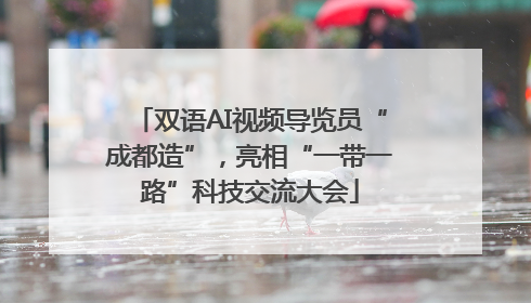 双语AI视频导览员“成都造”，亮相“一带一路”科技交流大会