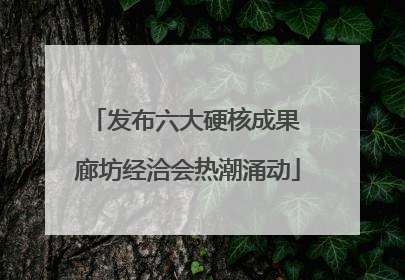 发布六大硬核成果 廊坊经洽会热潮涌动