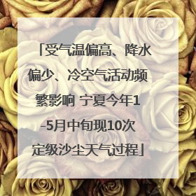 受气温偏高、降水偏少、冷空气活动频繁影响 宁夏今年1-5月中旬现10次定级沙尘天气过程