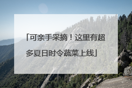 可亲手采摘！这里有超多夏日时令蔬菜上线