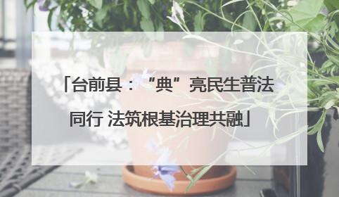 台前县：“典”亮民生普法同行 法筑根基治理共融