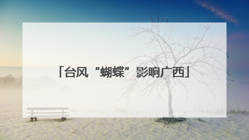 台风“蝴蝶”影响广西