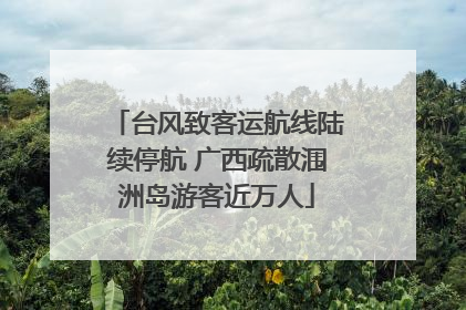 台风致客运航线陆续停航 广西疏散涠洲岛游客近万人