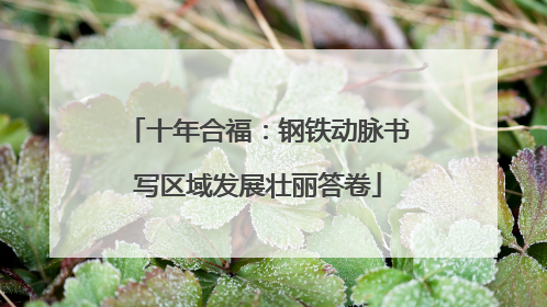 十年合福：钢铁动脉书写区域发展壮丽答卷