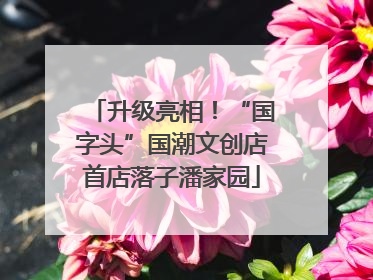 升级亮相！“国字头”国潮文创店首店落子潘家园
