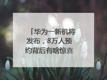 华为一新机将发布，8万人预约背后有啥惊喜？｜热财经