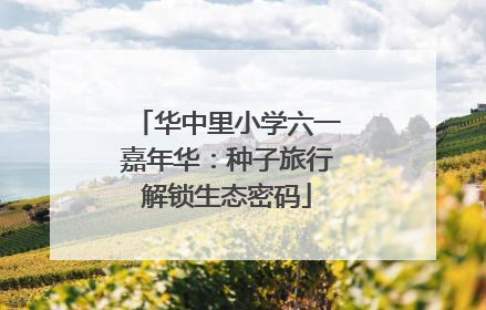 华中里小学六一嘉年华：种子旅行解锁生态密码