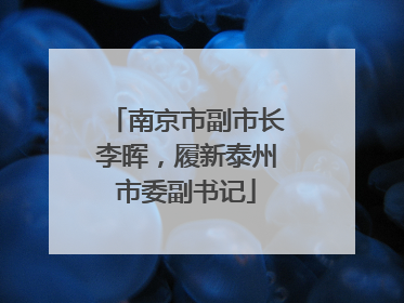 南京市副市长李晖，履新泰州市委副书记
