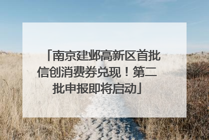 南京建邺高新区首批信创消费券兑现！第二批申报即将启动