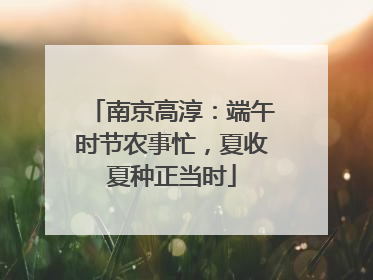 南京高淳：端午时节农事忙，夏收夏种正当时