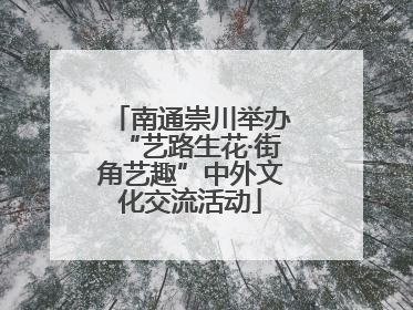 南通崇川举办“艺路生花·街角艺趣”中外文化交流活动