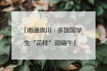南通崇川：多国留学生“花样”迎端午