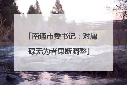 南通市委书记：对庸碌无为者果断调整