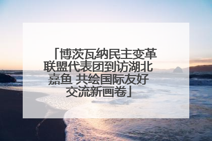 博茨瓦纳民主变革联盟代表团到访湖北嘉鱼 共绘国际友好交流新画卷