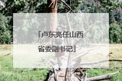 卢东亮任山西省委副书记