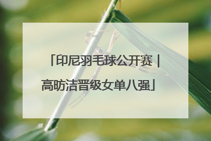 印尼羽毛球公开赛｜高昉洁晋级女单八强