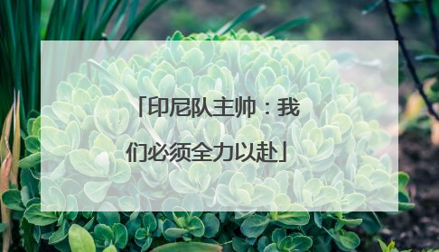 印尼队主帅：我们必须全力以赴