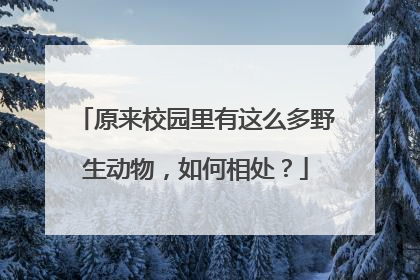 原来校园里有这么多野生动物，如何相处？