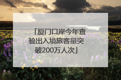 厦门口岸今年查验出入境旅客量突破200万人次