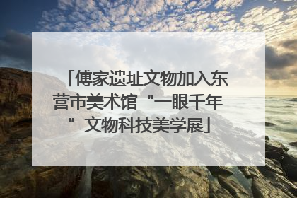 傅家遗址文物加入东营市美术馆“一眼千年”文物科技美学展