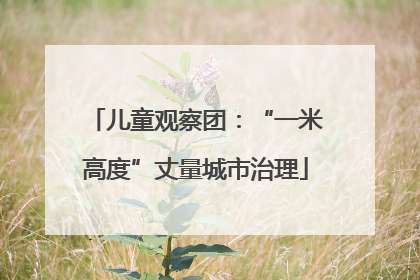 儿童观察团：“一米高度”丈量城市治理