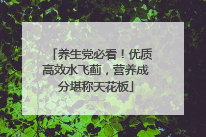 养生党必看！优质高效水飞蓟，营养成分堪称天花板