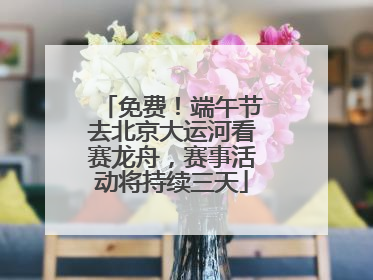免费！端午节去北京大运河看赛龙舟，赛事活动将持续三天