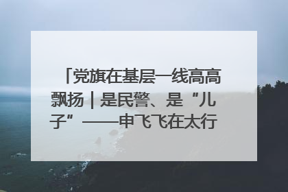 党旗在基层一线高高飘扬｜是民警、是“儿子”——申飞飞在太行山中的一线坚守