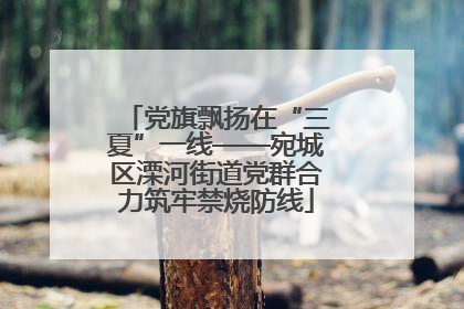 党旗飘扬在“三夏”一线——宛城区溧河街道党群合力筑牢禁烧防线