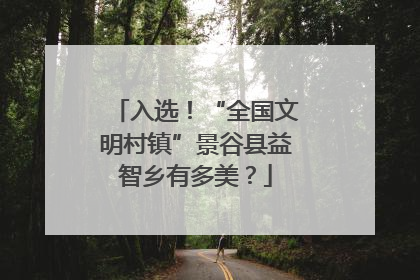 入选！“全国文明村镇”景谷县益智乡有多美？
