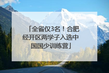 全省仅3名！合肥经开区两学子入选中国国少训练营