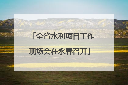 全省水利项目工作现场会在永春召开