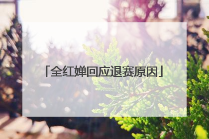 全红婵回应退赛原因