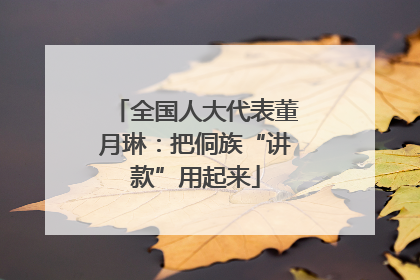 全国人大代表董月琳：把侗族“讲款”用起来