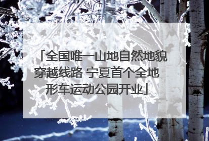 全国唯一山地自然地貌穿越线路 宁夏首个全地形车运动公园开业