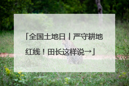 全国土地日丨严守耕地红线！田长这样说→