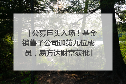 公募巨头入场！基金销售子公司迎第九位成员，易方达财富获批