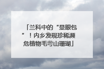 兰科中的“显眼包”！内乡发现珍稀濒危植物毛萼山珊瑚